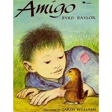 Amigo Paperback, Aladdin Paperbacks