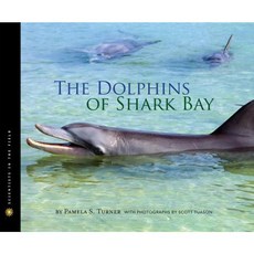 The Dolphins of Shark Bay Hardcover, Harcourt Brace and Company