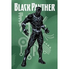 Black Panther Adventures Paperback, Marvel Comics