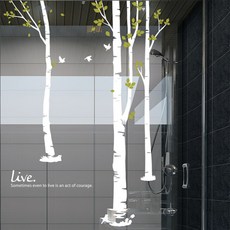 자작나무숲벽지