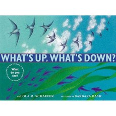 What's Up What's Down? 양장, Greenwillow