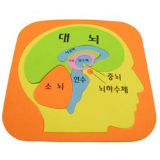 科學EVA大腦結構拼圖, 1組