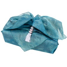 한범수대금산조보