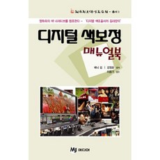 디지털 색보정 매뉴얼북:디지털 색조율사의 길라잡이