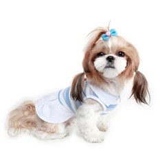 루이독미니드레스