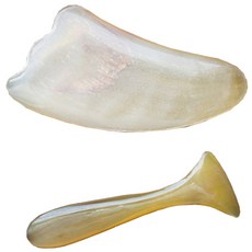 헬스플러스 괄사 패키지 BJ-05B + BJ-6013, 1세트, 혼합 색상