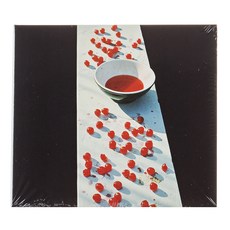 dvd폴매카트니콘서트paulmccartneyconcert