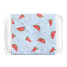 비비엔다미니필로우