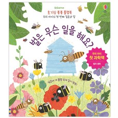 Usborne 벌은 무슨 일을 해요?:우리 아이 첫 과학책 | 벌의 생태, 어스본코리아