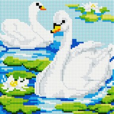 7b817310-f1eb-4c75-8064-73c6a37aaa9d.jpg