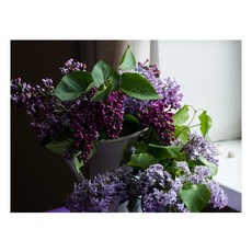 렌지기름때방지강화유리