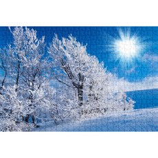 95d602d2-c1e3-45c0-95f1-b690f3cc34df.jpg