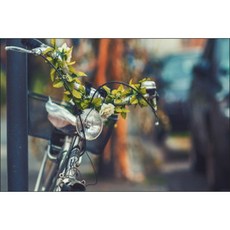 유브이디에스 아트보드 주방시트지 나뭇잎 장식, 1개