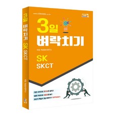 시대고시skct