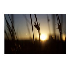 주방식물아트보드