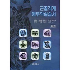 근골격계해부학책