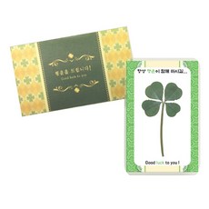 LUCKY7DAYSI 幸運禮物幸運四葉草許願花卡, 祝幸福, 4件
