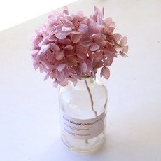 a9a359ea-d6b3-4174-aa02-faa6fa0a826a.jpg