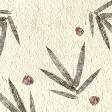 eecb7803-0763-4e4c-971c-7b0ccf677fdb.jpg