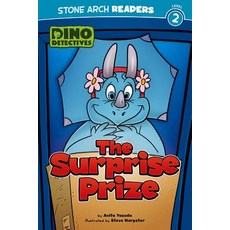 The Surprise Prize Library Binding, Stone Arch Books