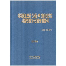 [지식산업정보원]지식정보보안·SNS·빅 데이터산업 시장전망과 산업동향분석, 지식산업정보원, R&D정보센터 지음