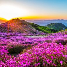 중고진공챔버