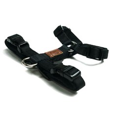 아띠지기하네스