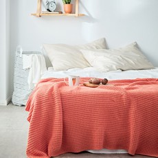 20ac8ee4-303b-4f57-a787-efaacbc158f4.jpg