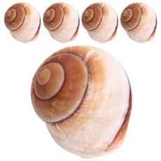 2c335e79-61e2-466f-adcb-4c1010cc0d17.jpg
