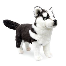 husky716