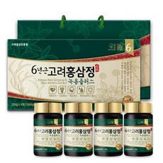 고려홍삼진흥원 6년근홍삼정 녹용플러스 + 쇼핑백, 250g, 4개입