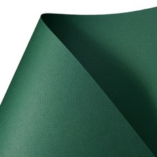 삼원 칼라 퍼레이드 4절 20진녹색 160g, 40개입