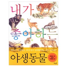 호박꽃