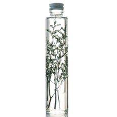 伊洛古圓瓶保鮮花, 朦朧的藍綠色