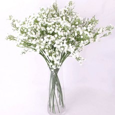 마켓감성 조화 안개꽃 부쉬 5p, 화이트