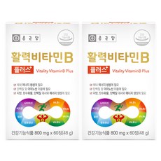 비타민b 영양제-추천-종근당 활력 비타민B 플러스, 60정, 2개
