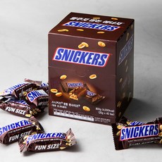스니커즈 땅콩 펀사이즈 픽앤믹스 초코바, 800g, 1개