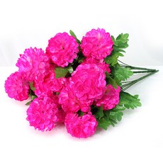 01c455cf-b390-4985-9ce9-514c6d142fad.jpg