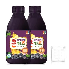 순수식품 엘더베리 함유 큰키즈 티 250ml, 배 + 생강 + 흑마늘 + 수세미 혼합맛, 2개