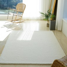 극세사러그카페트