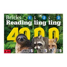 Reading 40 1 + 2 + 3 세트, Bricks