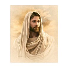 골드리아엘리아큐세트