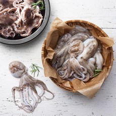 국산 생물 서해 주꾸미 (냉장), 1kg, 1박스