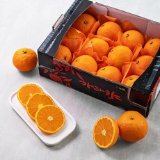 GAP 인증 당도선별 카라향, 2kg, 1박스
