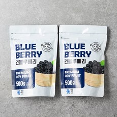 산들 건블루베리, 500g, 2개
