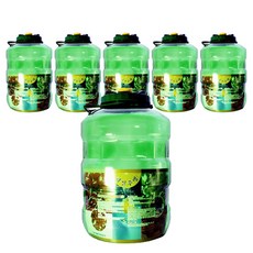 뉴그린 과실주병, 22L, 6개