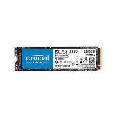 크루셜 마이크론 Crucial P2 M.2 2280 SSD, CT250P2SSD8, 250GB