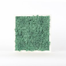 스칸디아모스액자