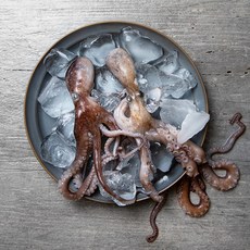 생물 낙지 2미, 200g, 1팩