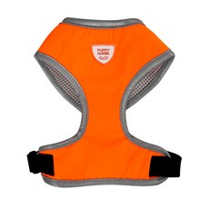 퍼피엔젤안지오네